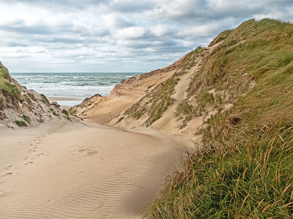 Strandzugang in den Dünen an der dänischen Nordseeküste in Jütland bei Nørre Vorupør