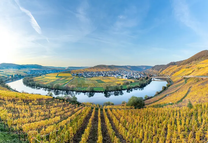 Trittenheim_Depositphotos_430577804_S