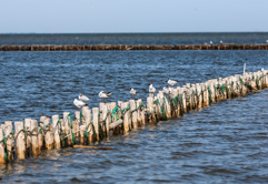 Wadden Sea (UNESCO) National Park, near Mando island
