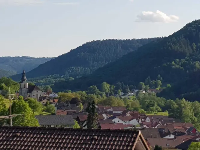 Wald-Michelbach_530-445477