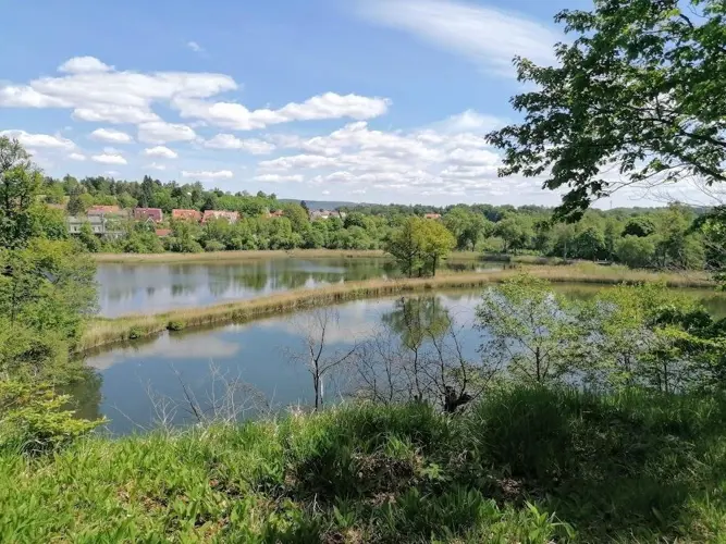 Walkenried_540-150599-116262