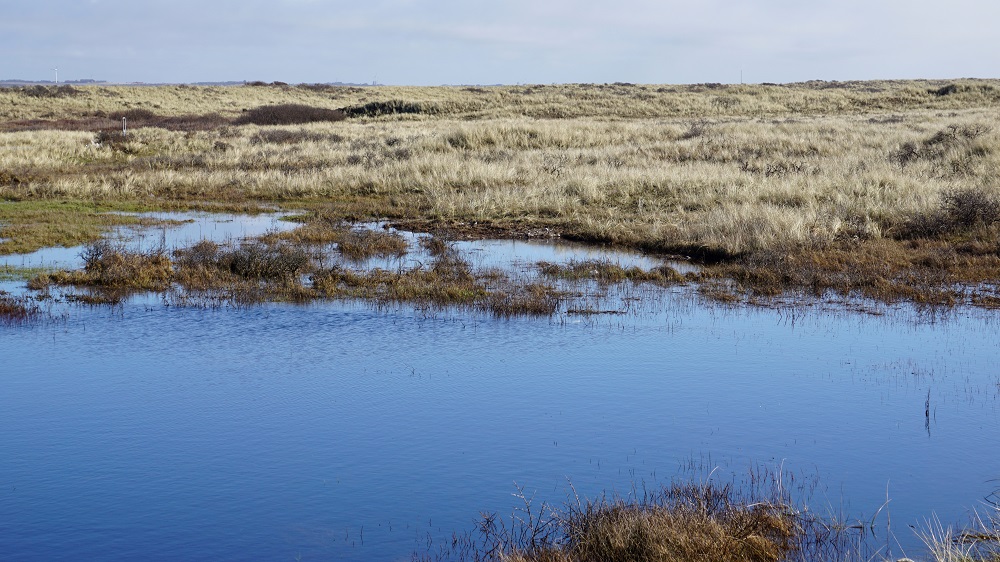 Wasser in Agger Tange