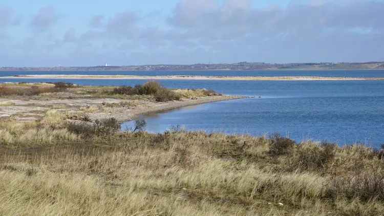 Wasserblick in Agger Tange, Dänemark