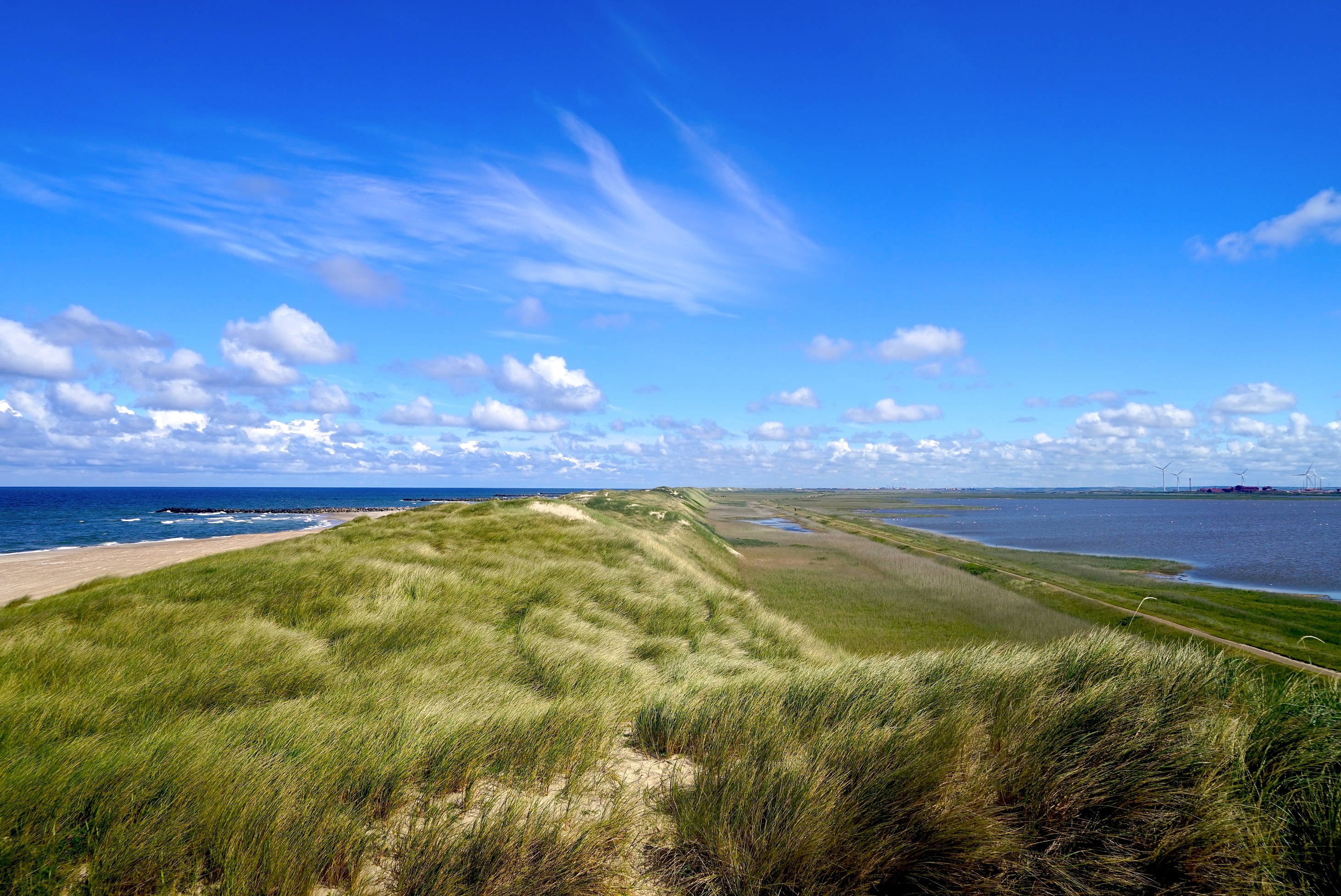 beautiful dune landscape and beach between the North Sea and theLimfjord