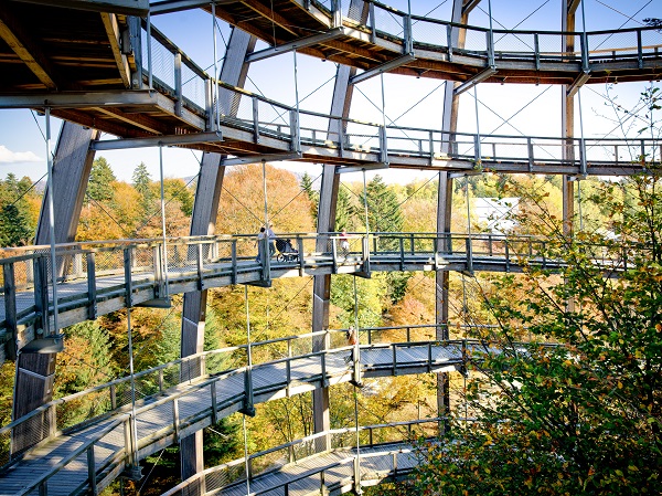 Turm innen - Baumwipfelpfad Bayerischer Wald