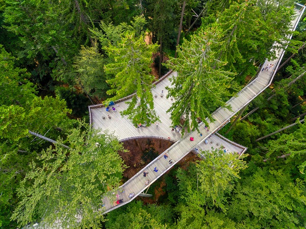 Waldinsel - Baumwipfelpfad Bayerischer Wald
