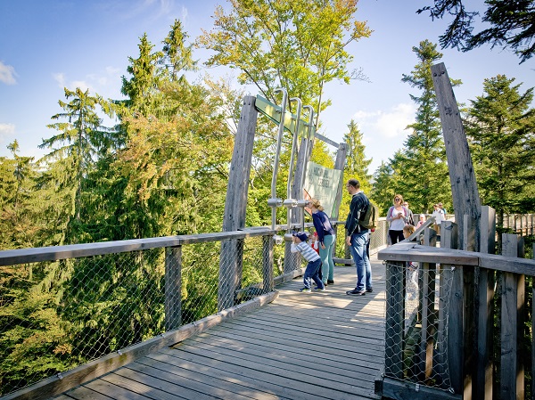 Lernstation - Baumwipfelpfad Bayerischer Wald