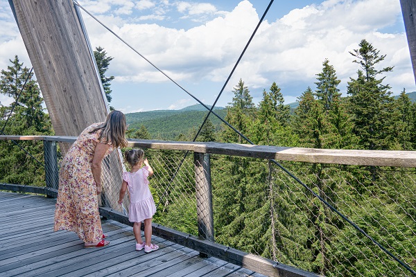 Aussicht - Baumwipfelpfad Bayerischer Wald