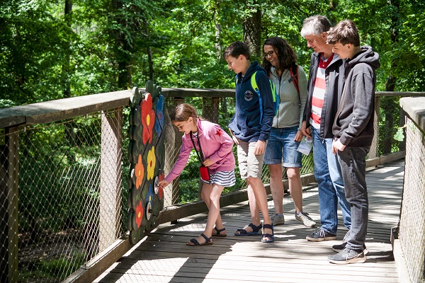 Familie an einer Erlebnisstation - Baumwipfelpfad Saarschleife