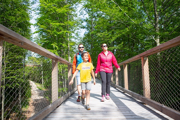 Familie - Baumwipfelpfad Salzkammergut