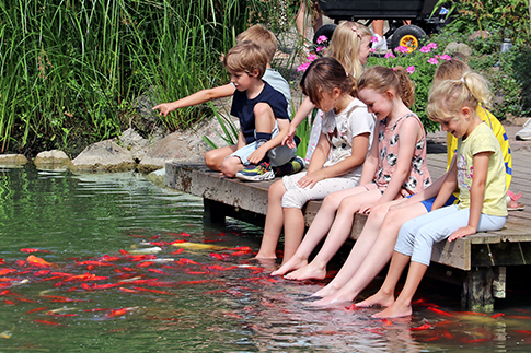 Kinder mit den Füßen im Wasser, während Fische um sie herumschwimmen