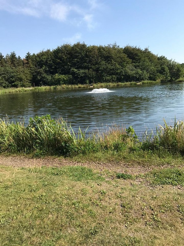 Der Arrild Fiskesø ist eine private Angelanlage in Arrild Ferieby, Dänemark