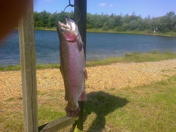 Ein Fisch, der am Haken hängt