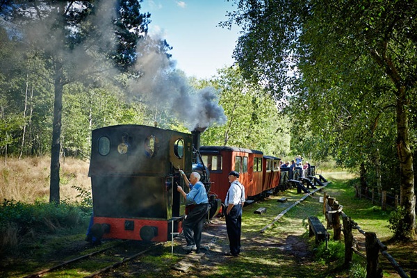 Dampflokomotive im Museum Hjerl Hede