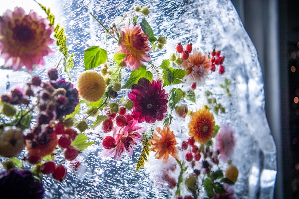 Eiskunstwerk mit Blumen im Museum Iskunsten