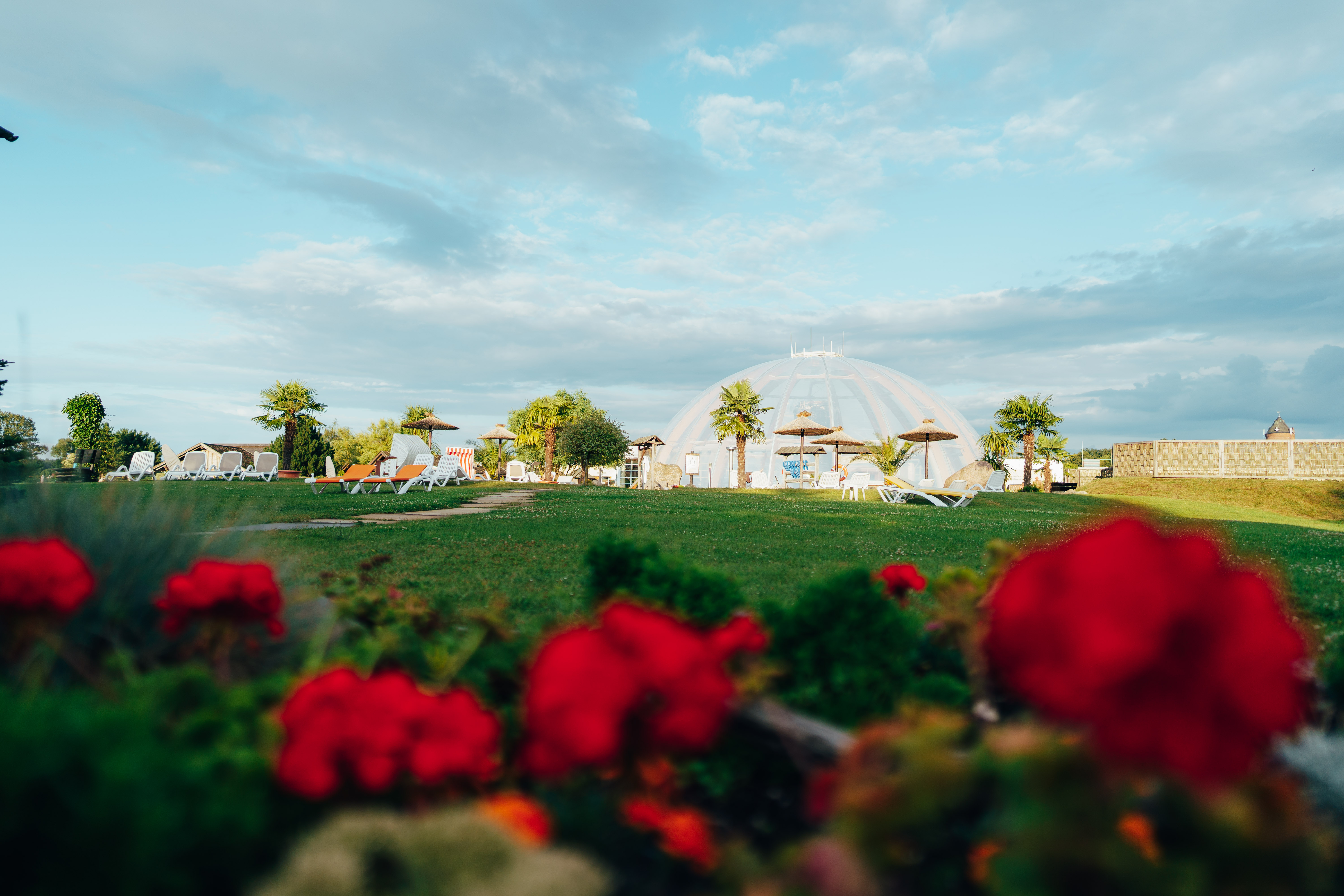 Sonnenwiese der Kristall Therme Bad Wilsnack mit Blumen im Vordergrund