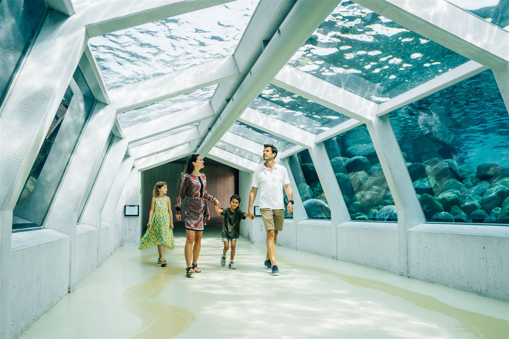 Der Robbentunnel im Nordsøen Oceanarium