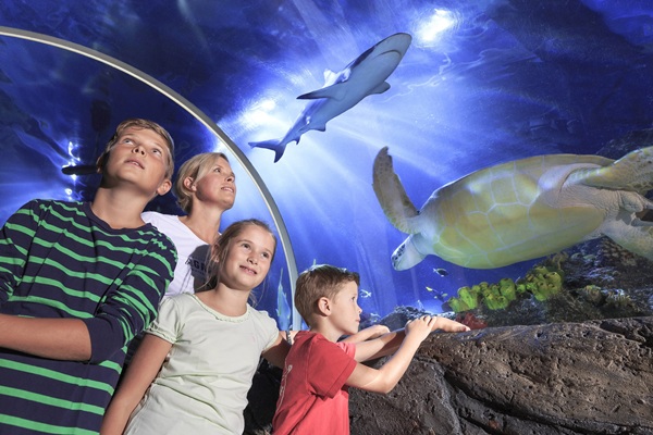 SEA LIFE Timmendorfer Strand
