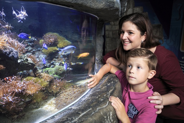 SEA LIFE Timmendorfer Strand