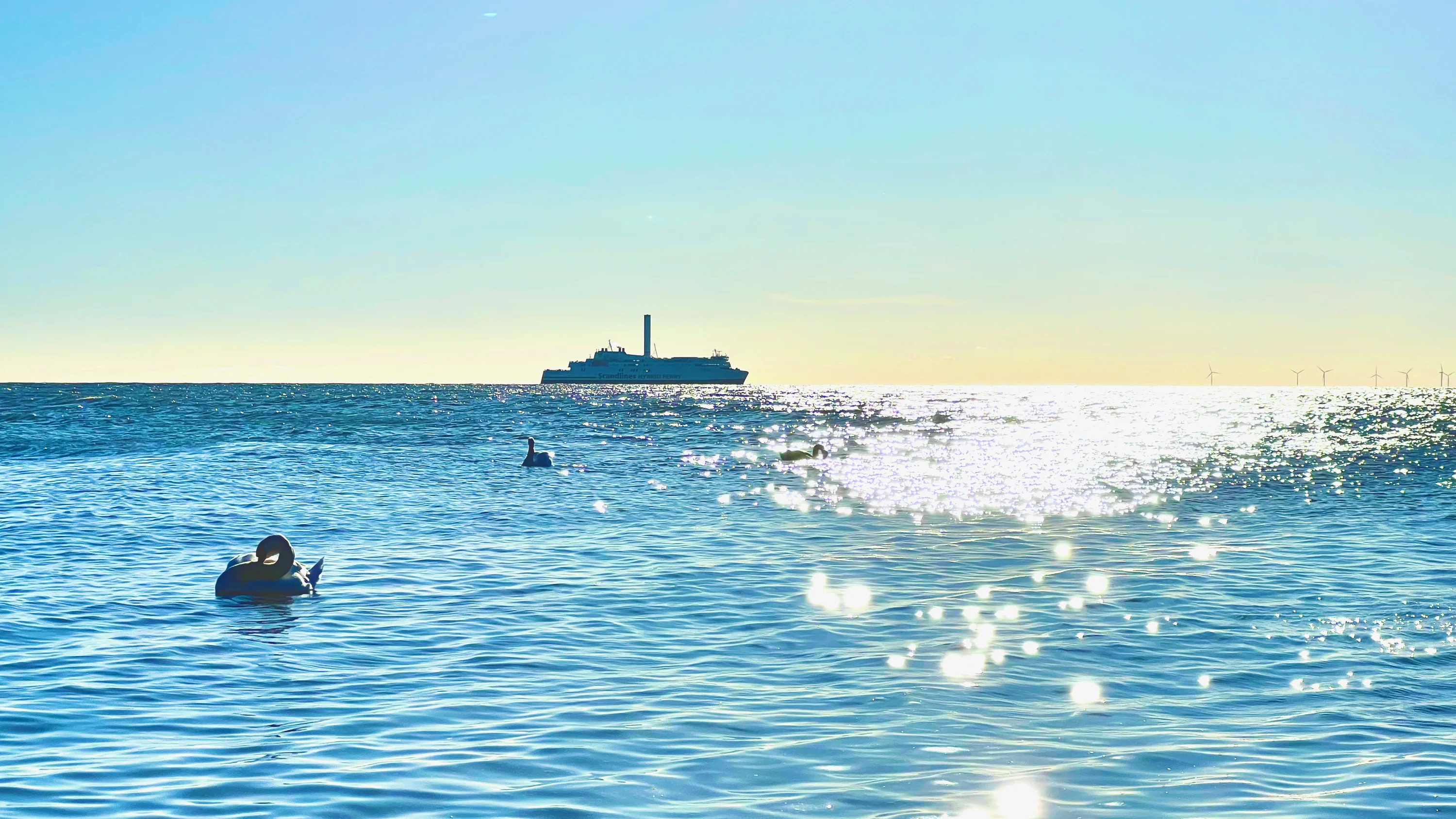 Scandlines-Fähre und Schwäne auf glitzerndem Meer vor blauem Himmel