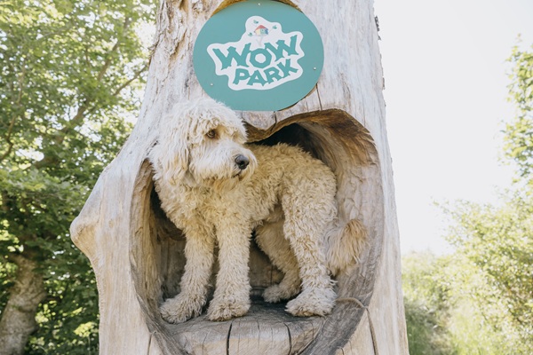 WOW PARK mit Hund
