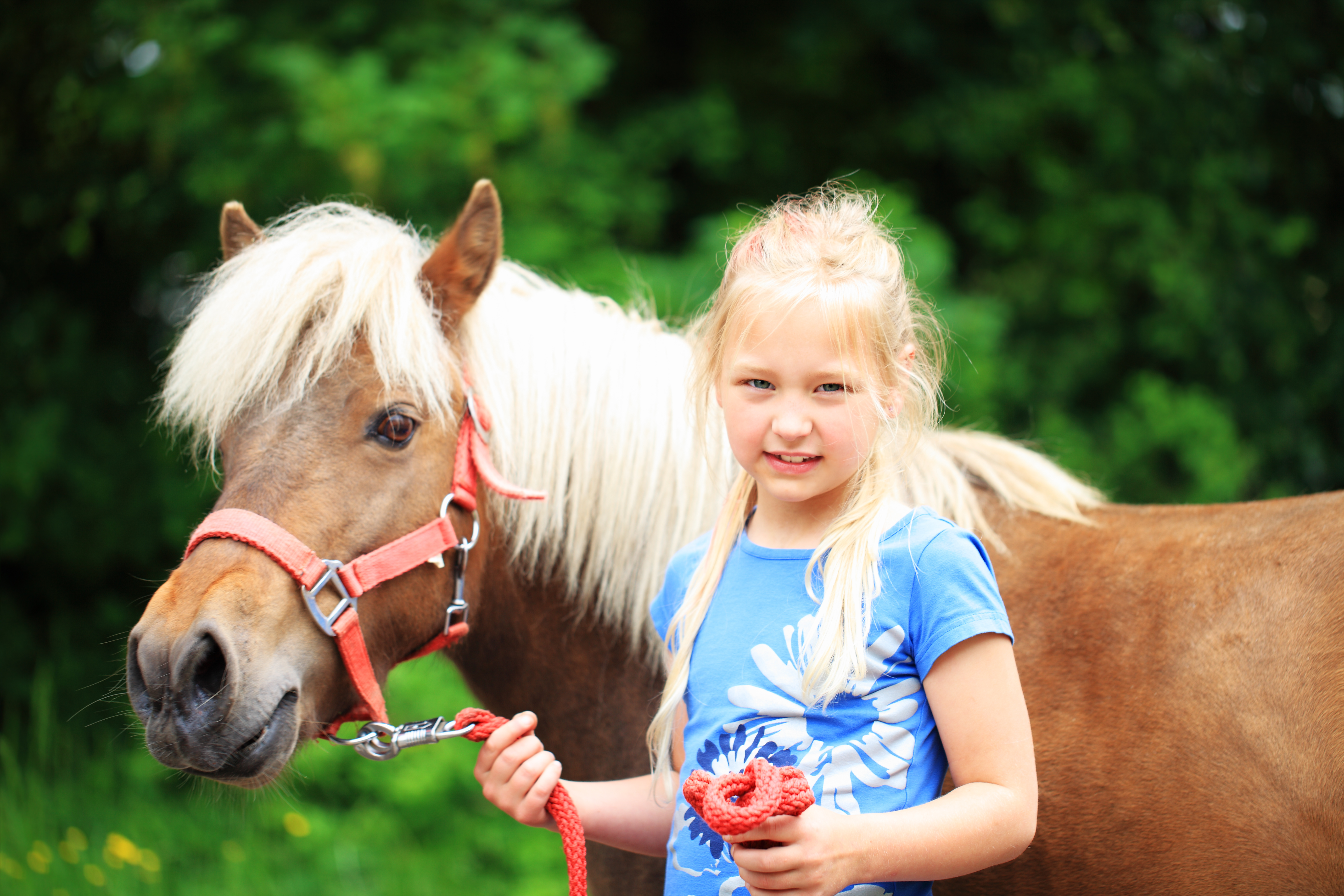 Ein Mädchen mit einem Pony im Westküstenpark & Robbarium in St. Peter-Ording
