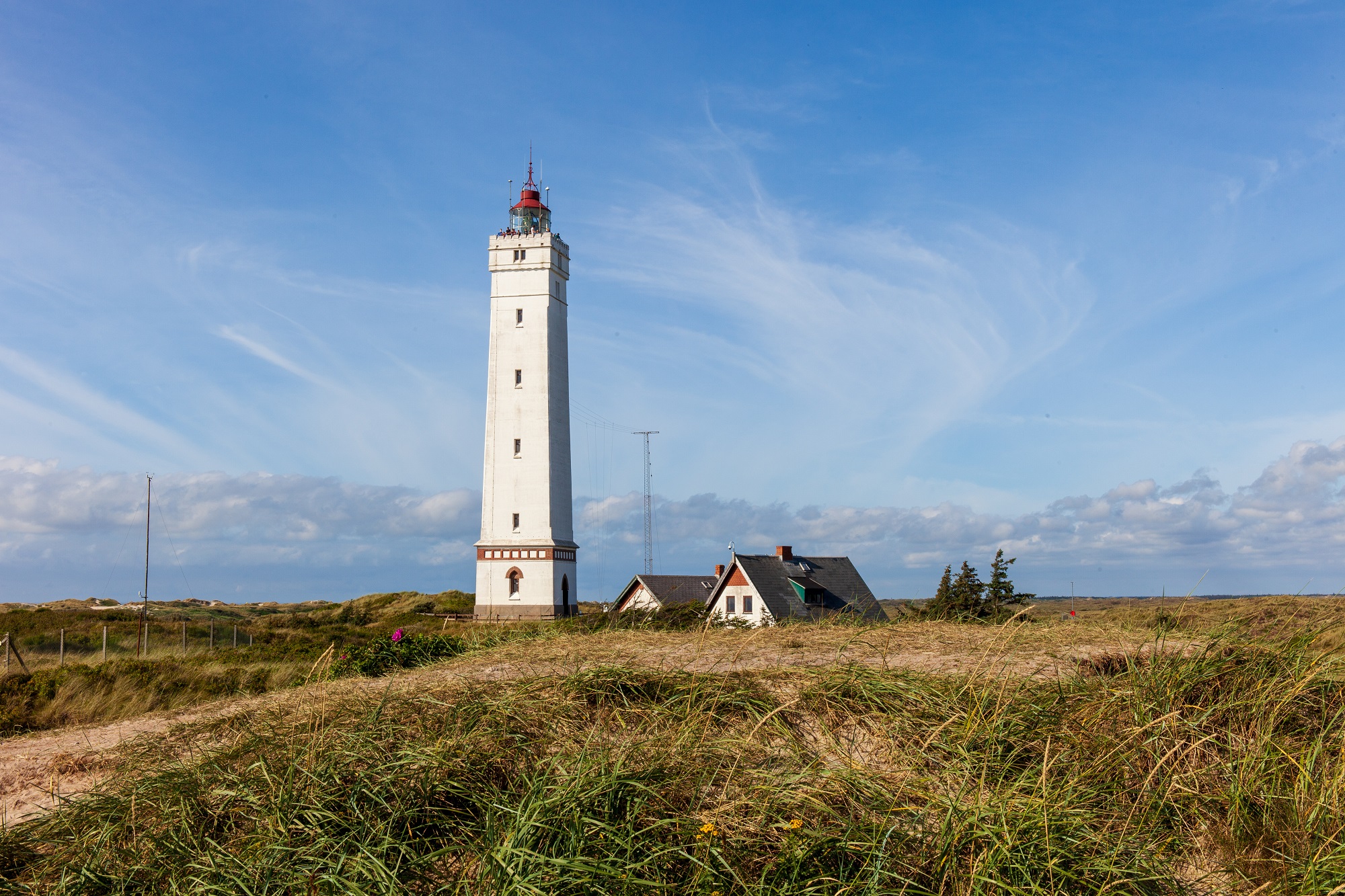 Leuchtturm von Blavand - Blavandshuk Leuchtturm