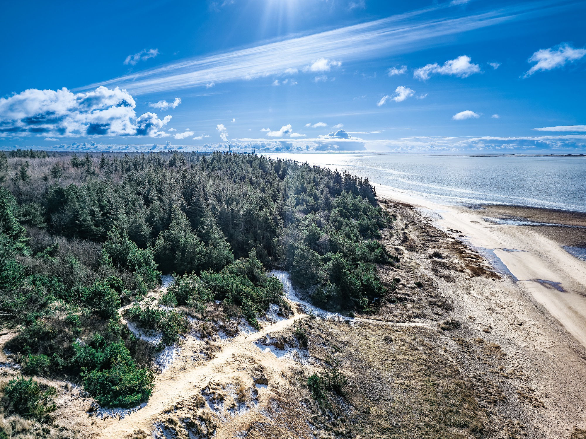 Wattenmeerküste in der Bucht von Ho, geprägt durch den markanten 'Gelben Berg' (Gulebjerg)