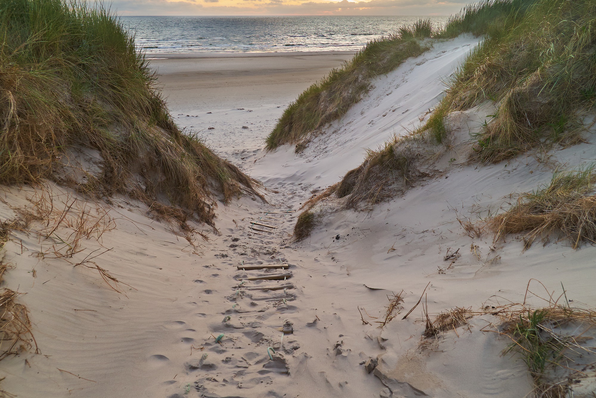 Eine geschnürte Leiter liegt auf einem Weg in den Sanddünen am Strand von Vejers Strand