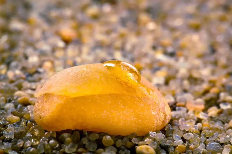 bernsteine auf fanö