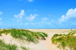 Sandstrand und Dünen der Insel Römö
