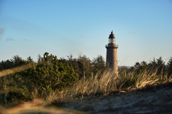 Lodbjerg Leuchtturm umgeben von Wald