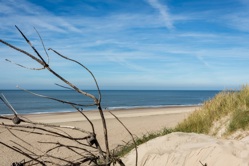 Söndervig Strand